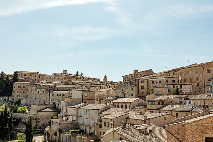 Media picture: Montalto Green Transformation Assembly (Node)