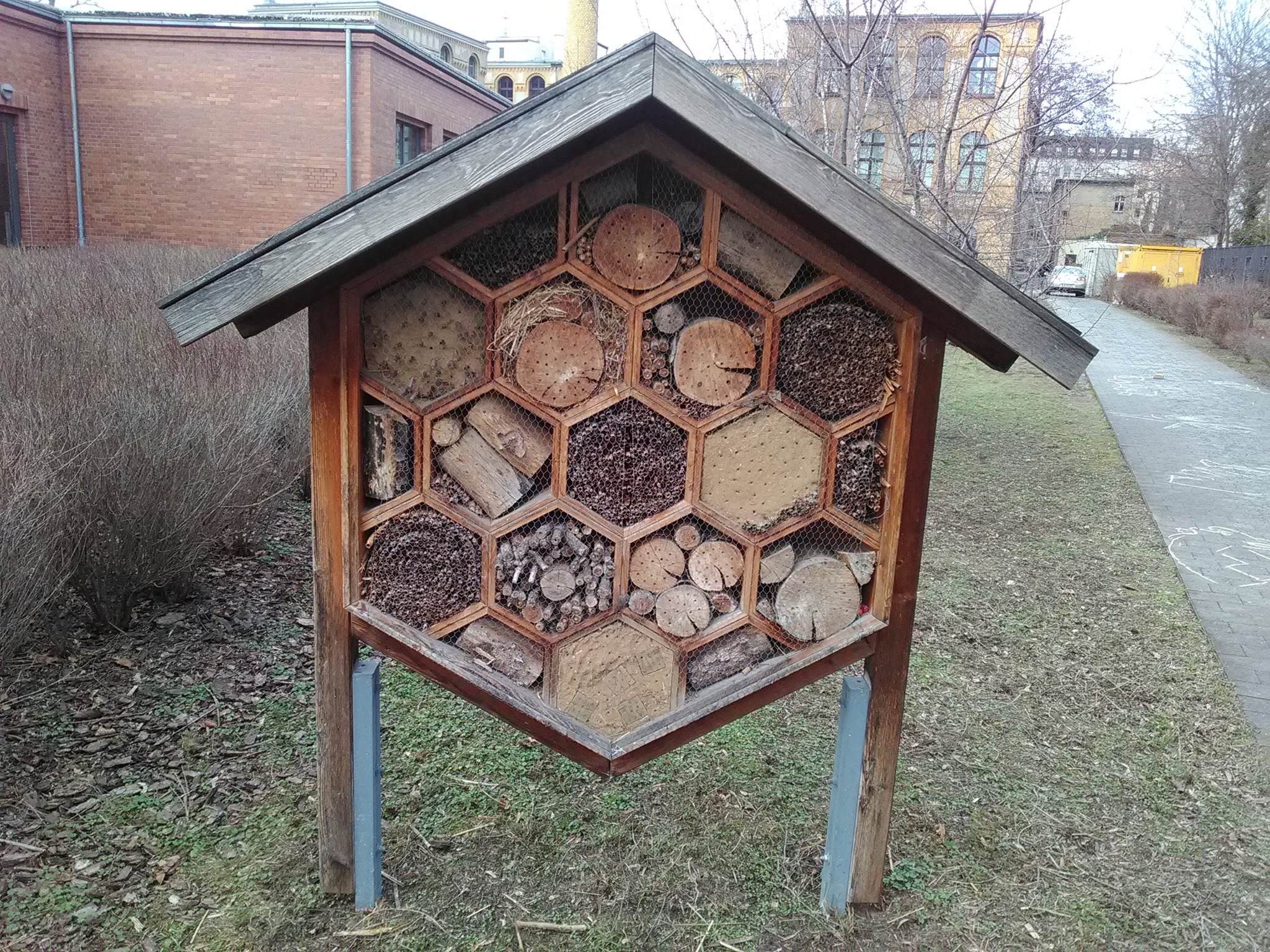 Media picture: Το πρώην στρατόπεδο Κόδρα ως πρότυπος χώρος αστικής βιοποικιλότητας, ημί-δομημένων παιδαγωγικών βιωματικών δραστηριοτήτων, ελεύθερου παιχνιδιού και πο